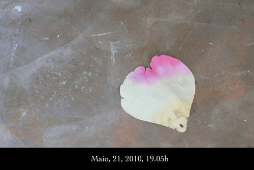 31N